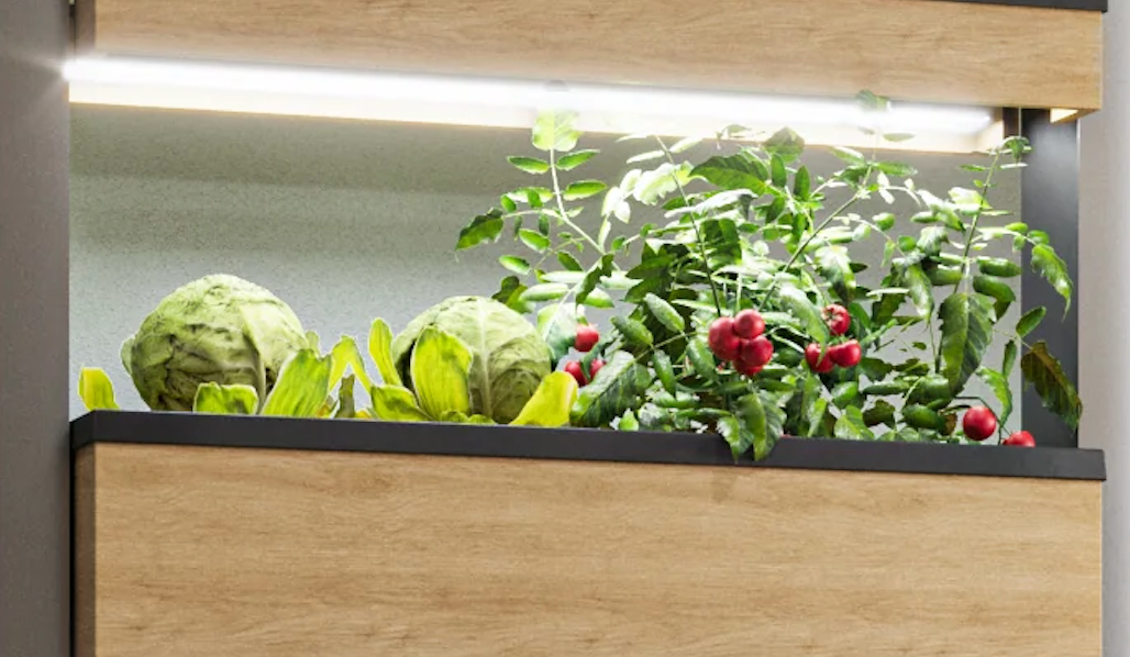 Indoor SmartAquaponics system has a capacity to grow more than 50 crops.