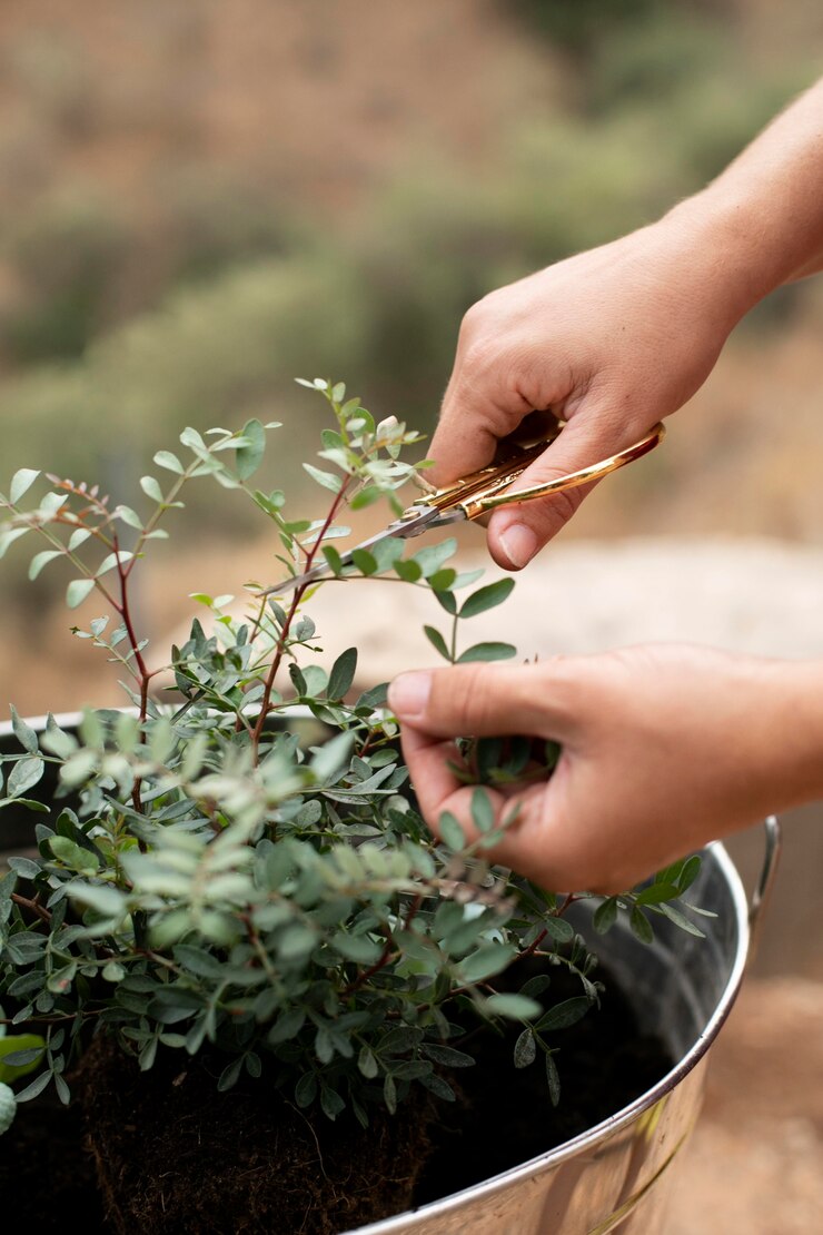 Onuà World Garden Manager Service